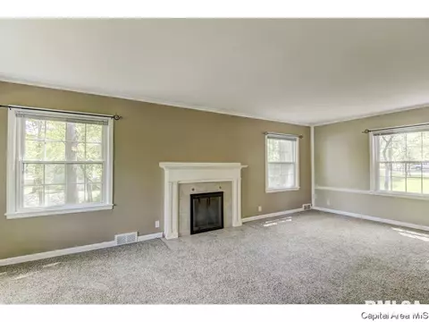 13 W Hazel Dell, Springfield, IL 62703 photo 17