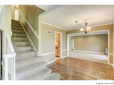 13 W Hazel Dell, Springfield, IL 62703 photo 21