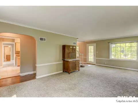 13 W Hazel Dell, Springfield, IL 62703 photo 19