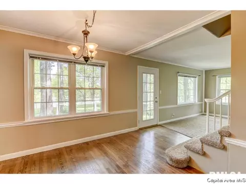 13 W Hazel Dell, Springfield, IL 62703 photo 22