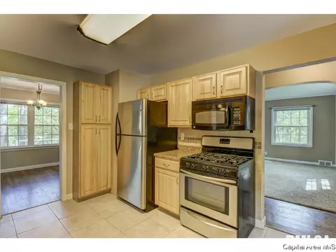 13 W Hazel Dell, Springfield, IL 62703 photo 16