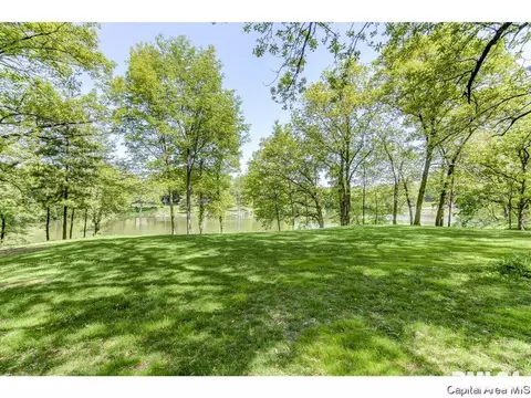 13 W Hazel Dell, Springfield, IL 62703 photo 9