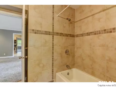 13 W Hazel Dell, Springfield, IL 62703 photo 28