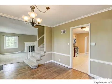 13 W Hazel Dell, Springfield, IL 62703 photo 20