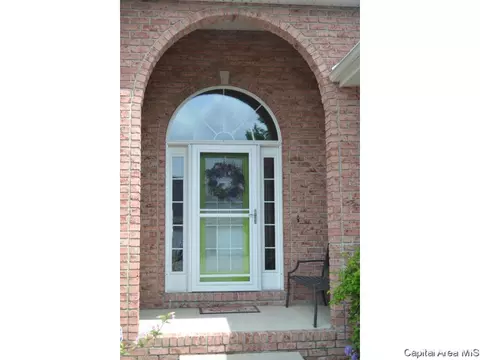 905 River Birch Ct, Chatham, IL 62629 photo 3