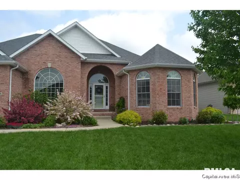 905 River Birch Ct, Chatham, IL 62629 photo 2