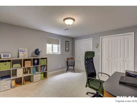 905 River Birch Ct, Chatham, IL 62629 photo 23