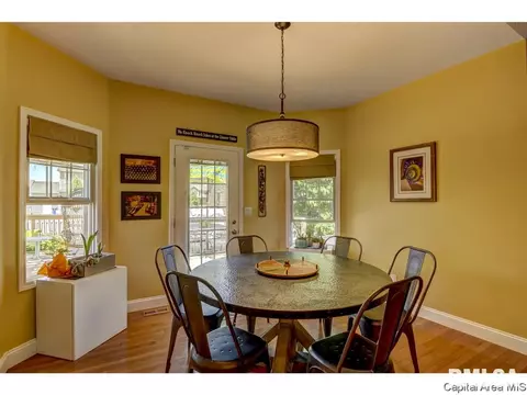 905 River Birch Ct, Chatham, IL 62629 photo 19