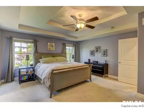 905 River Birch Ct, Chatham, IL 62629 photo 20