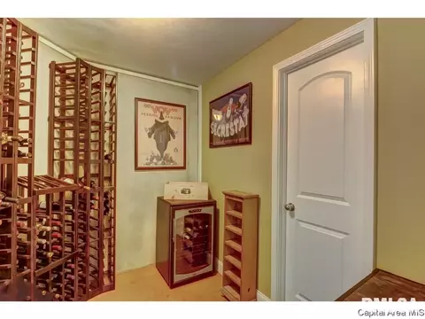 905 River Birch Ct, Chatham, IL 62629 photo 27