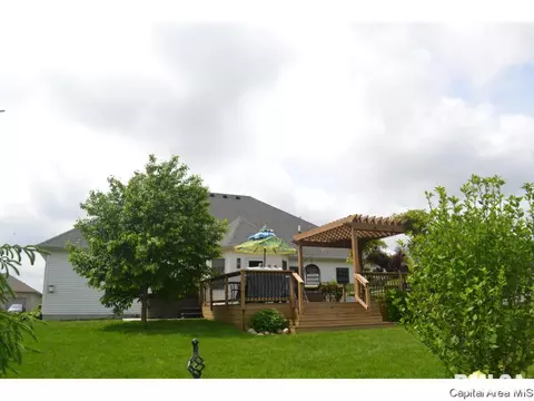 905 River Birch Ct, Chatham, IL 62629 photo 34
