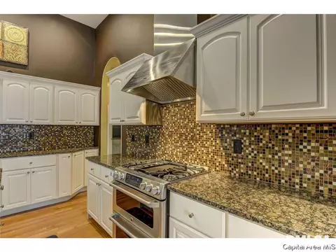 905 River Birch Ct, Chatham, IL 62629 photo 18