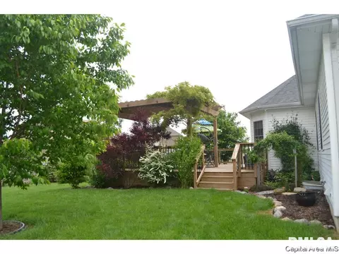 905 River Birch Ct, Chatham, IL 62629 photo 36
