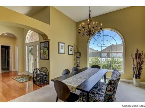 905 River Birch Ct, Chatham, IL 62629 photo 9
