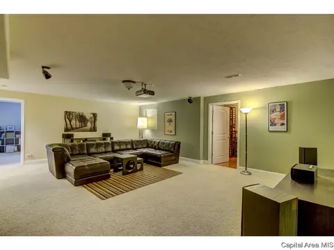 905 River Birch Ct, Chatham, IL 62629 photo 25