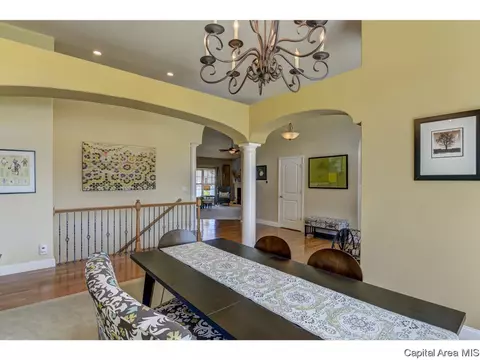 905 River Birch Ct, Chatham, IL 62629 photo 11