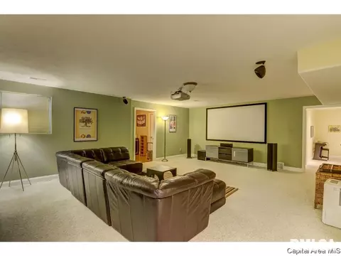 905 River Birch Ct, Chatham, IL 62629 photo 24