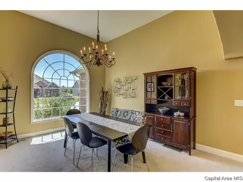 905 River Birch Ct, Chatham, IL 62629 photo 10