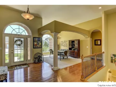 905 River Birch Ct, Chatham, IL 62629 photo 4