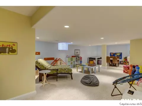 905 River Birch Ct, Chatham, IL 62629 photo 28