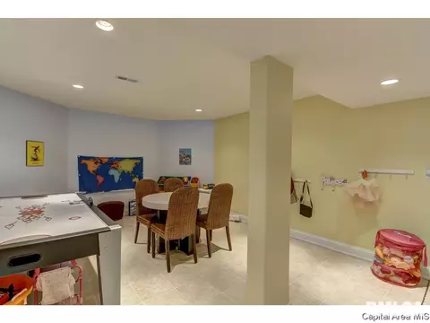 905 River Birch Ct, Chatham, IL 62629 photo 29