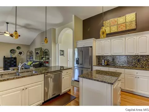 905 River Birch Ct, Chatham, IL 62629 photo 16