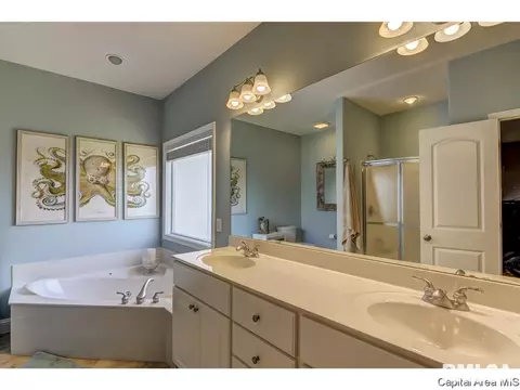 905 River Birch Ct, Chatham, IL 62629 photo 22