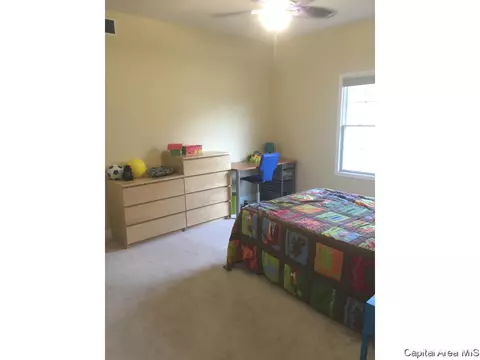 905 River Birch Ct, Chatham, IL 62629 photo 7