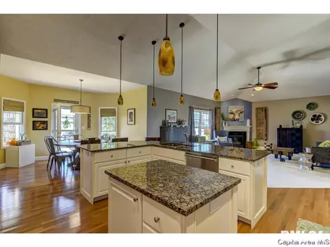 905 River Birch Ct, Chatham, IL 62629 photo 15