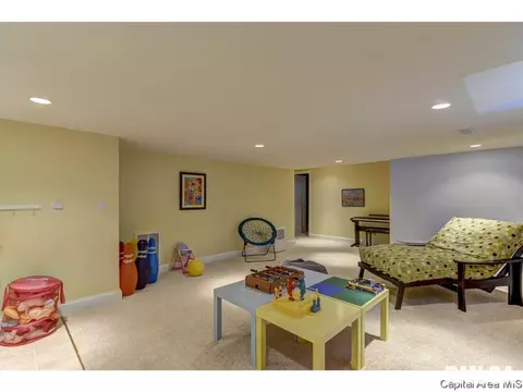 905 River Birch Ct, Chatham, IL 62629 photo 30