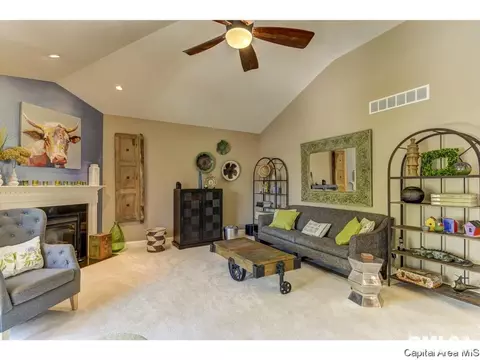 905 River Birch Ct, Chatham, IL 62629 photo 12