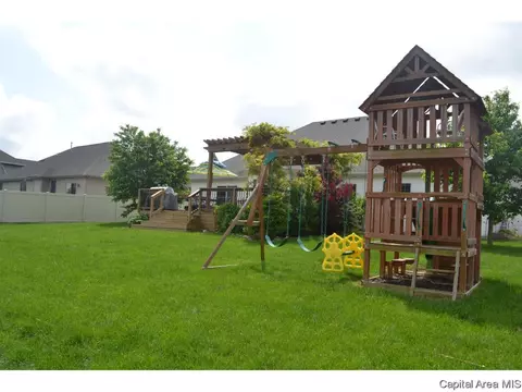 905 River Birch Ct, Chatham, IL 62629 photo 33