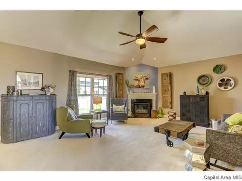 905 River Birch Ct, Chatham, IL 62629 photo 13