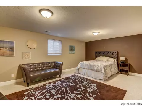 905 River Birch Ct, Chatham, IL 62629 photo 26