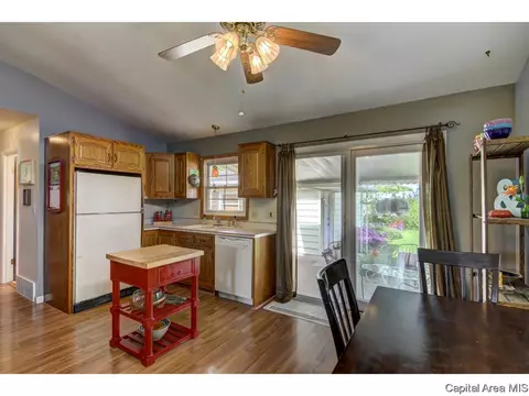 1801 Albert St, Springfield, IL 62702 photo 15