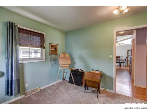 1801 Albert St, Springfield, IL 62702 photo 23