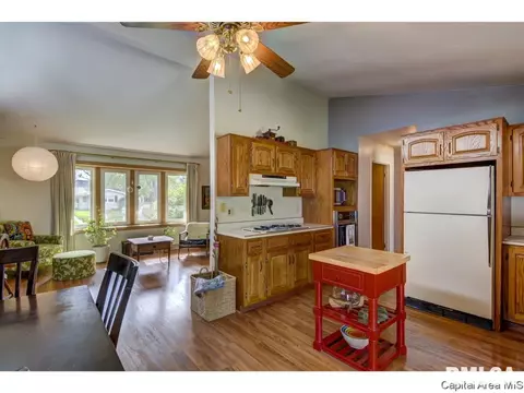 1801 Albert St, Springfield, IL 62702 photo 12