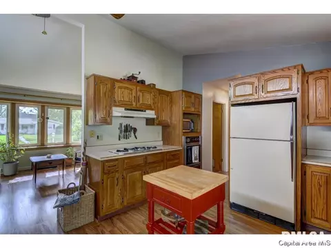 1801 Albert St, Springfield, IL 62702 photo 13