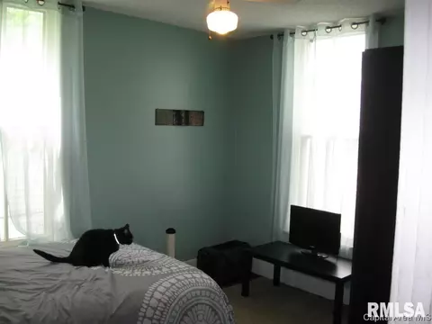 836 S 3rd St, Springfield, IL 62703 photo 7