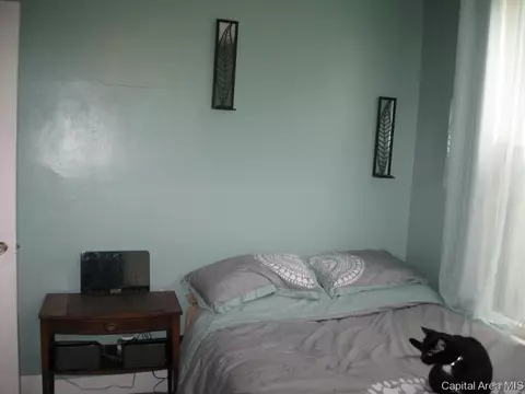 836 S 3rd St, Springfield, IL 62703 photo 8