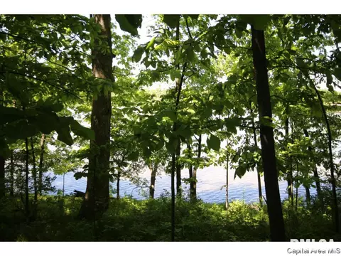 640 Wind Meadow Dr, Chatham, IL 62629 photo 34