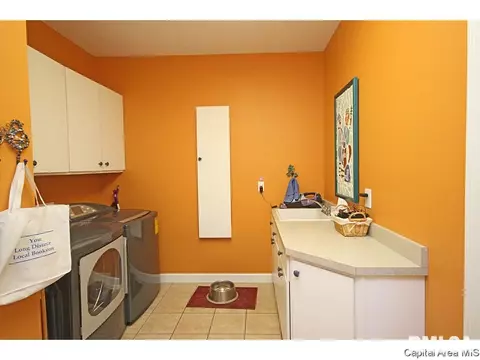 640 Wind Meadow Dr, Chatham, IL 62629 photo 24