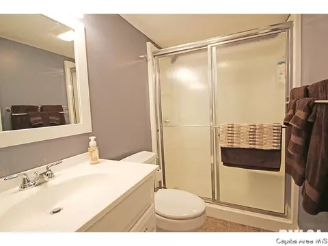 640 Wind Meadow Dr, Chatham, IL 62629 photo 22