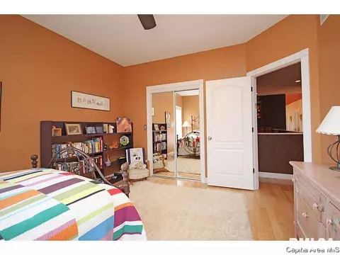 640 Wind Meadow Dr, Chatham, IL 62629 photo 17