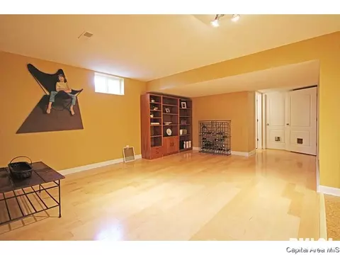 640 Wind Meadow Dr, Chatham, IL 62629 photo 27