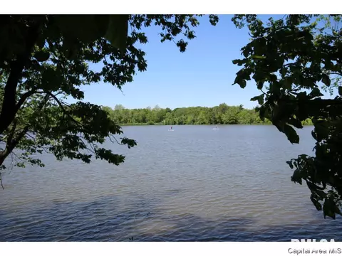 640 Wind Meadow Dr, Chatham, IL 62629 photo 35