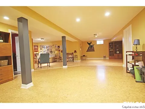 640 Wind Meadow Dr, Chatham, IL 62629 photo 26