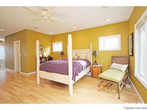 640 Wind Meadow Dr, Chatham, IL 62629 photo 10