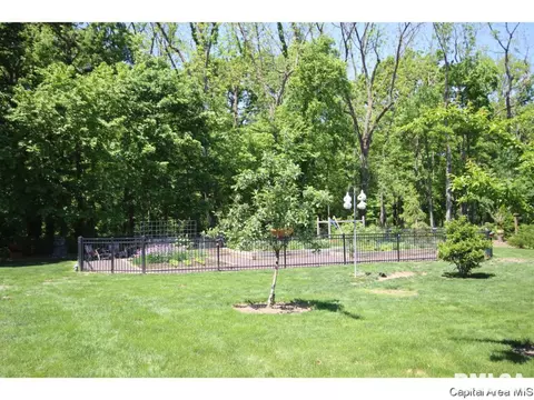 640 Wind Meadow Dr, Chatham, IL 62629 photo 33