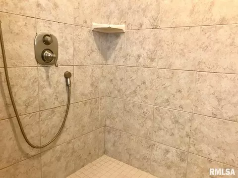 1840 W Laurel St, Springfield, IL 62704 photo 28